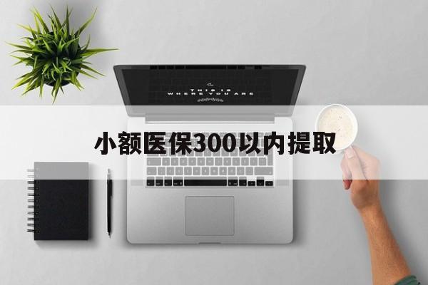 大同最新小额医保300以内提取方法分析(最方便真实的大同小额医保300以内提取中介方法)